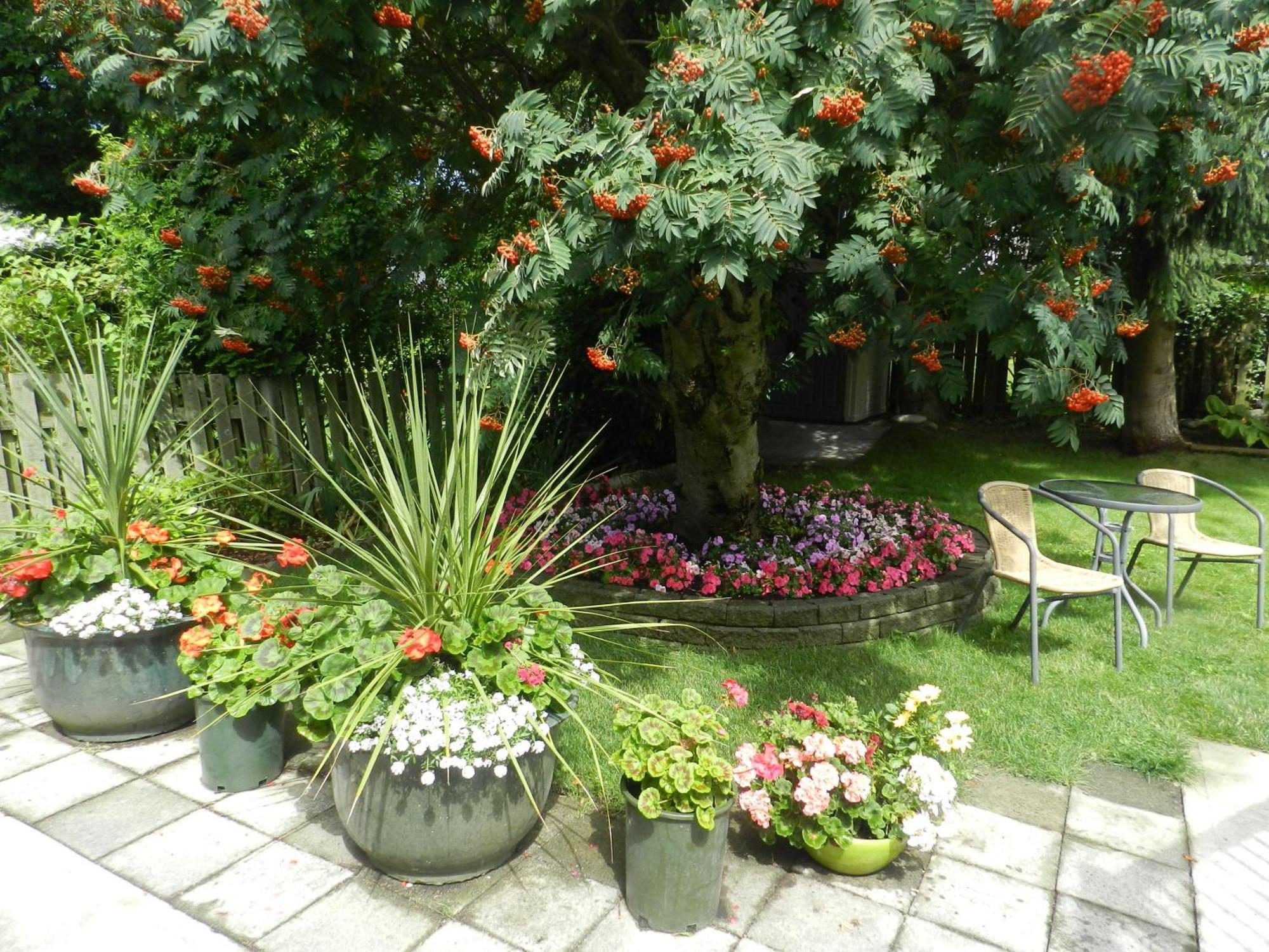 Serenity Bed & Breakfast เบิร์นนาบี ภายนอก รูปภาพ