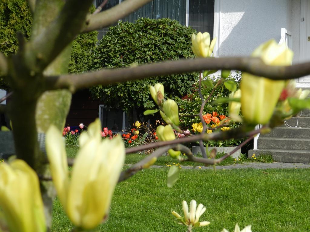 Serenity Bed & Breakfast เบิร์นนาบี ภายนอก รูปภาพ